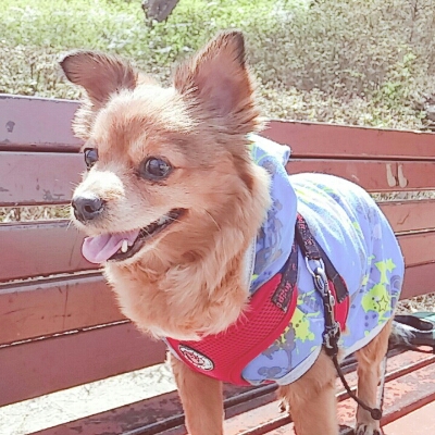 제이비 프로필