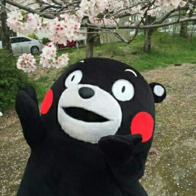 고등고드 프로필