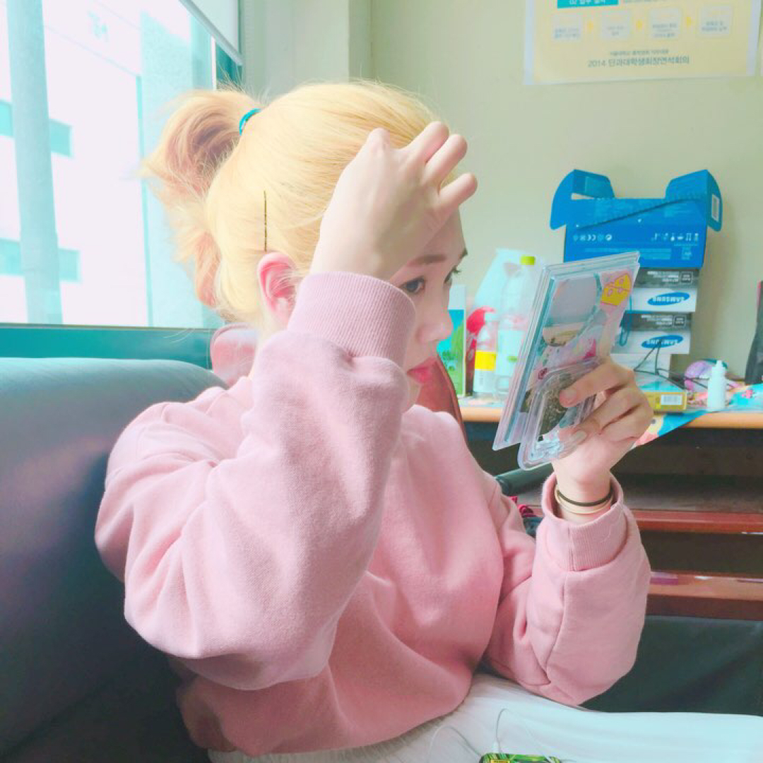 서퀴 프로필