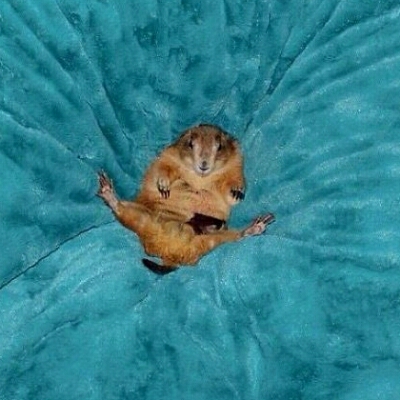 뚜두두두 프로필