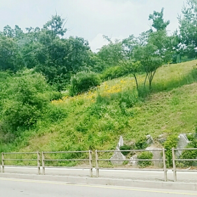 녹차누 프로필