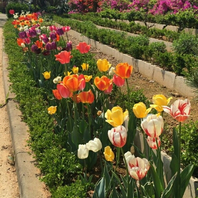yes걸 프로필