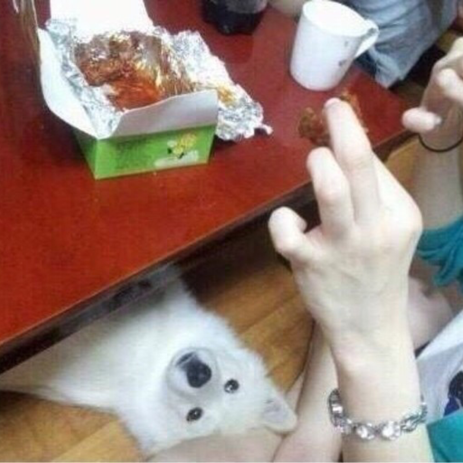 치킨이나줘 프로필
