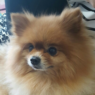 리뷰어 프로필