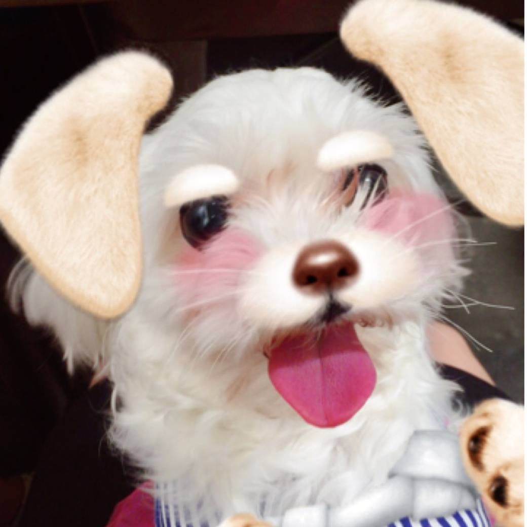 수뀨수뀨 프로필
