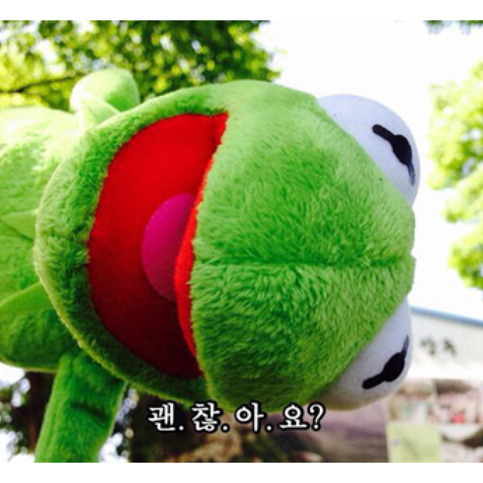 필루미 프로필
