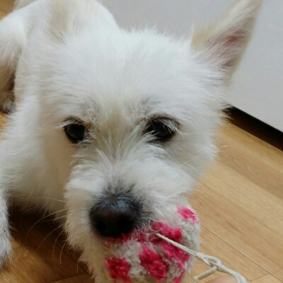 매일미주 프로필
