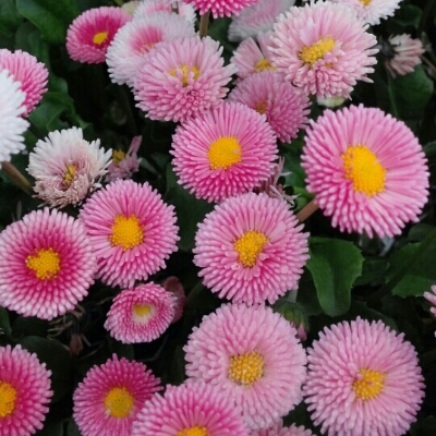리뷰어 프로필