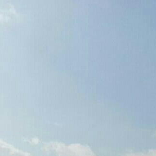 오스 프로필