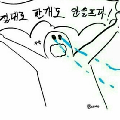 PIRU 프로필