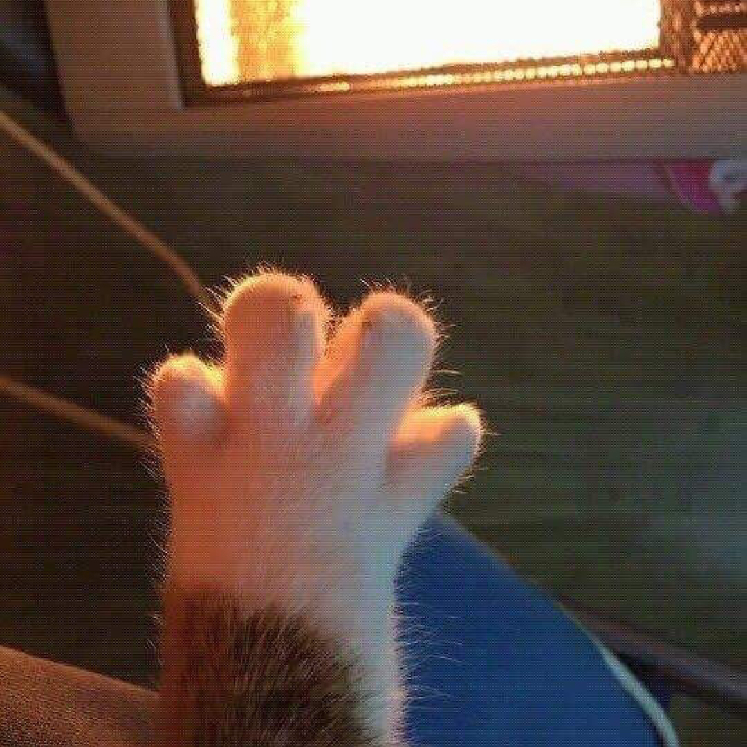 ㅇㅂㅇaa 프로필