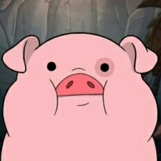 뱃살토끼 프로필