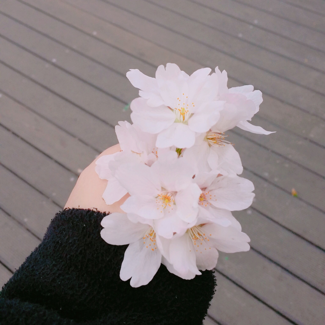 리뷰어 프로필