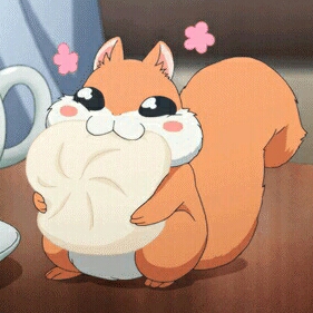개살구씨 프로필