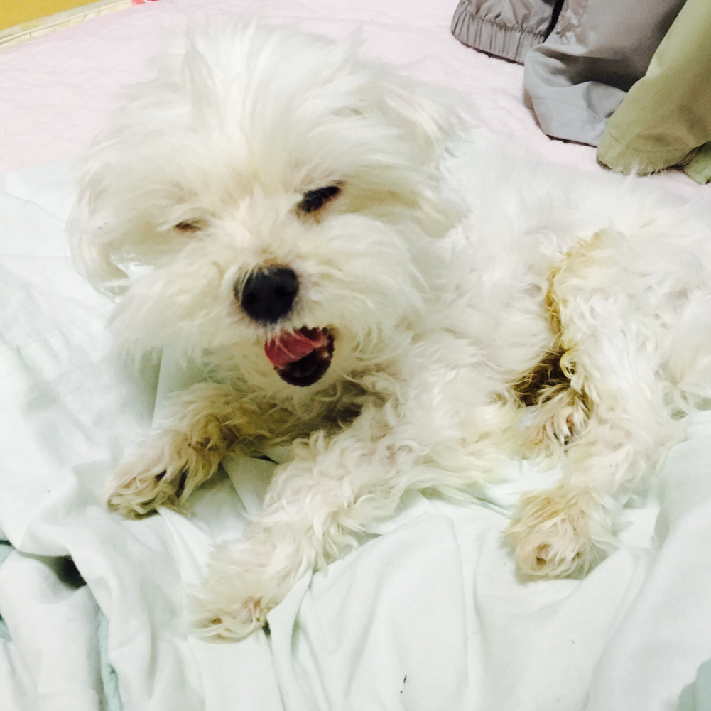 리뷰어 프로필