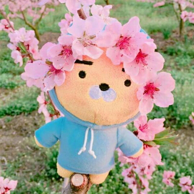 만지만두 프로필