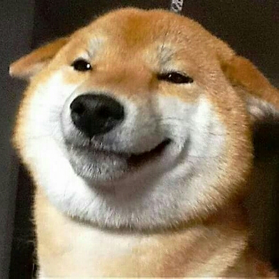 짱챔 프로필