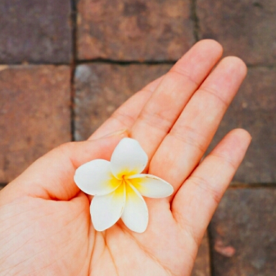 반달곰이 프로필