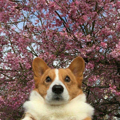 리뷰어 프로필