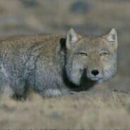 윯하 프로필
