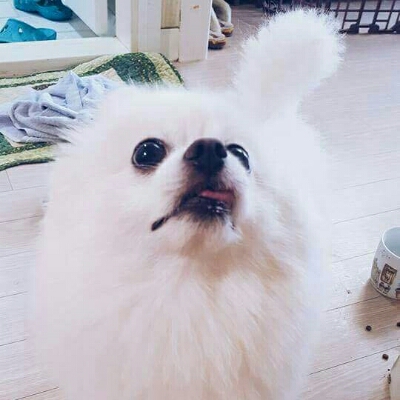 늘웃는하루 프로필