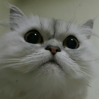 리뷰어 프로필