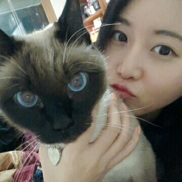 다쇼밍 프로필