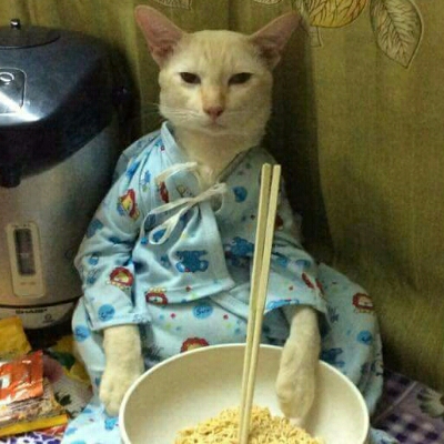 하꼬치 프로필