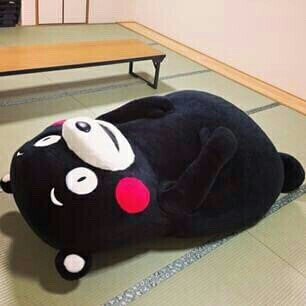 내태태 프로필