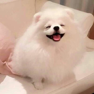 버터오징 프로필