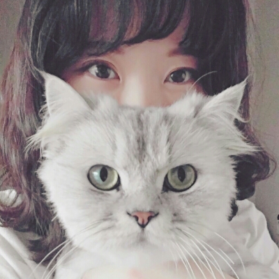 리뷰어 프로필