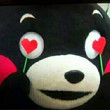 꺄륵쿠스퉁스 프로필