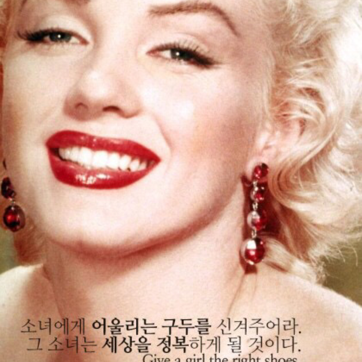 해리양 프로필