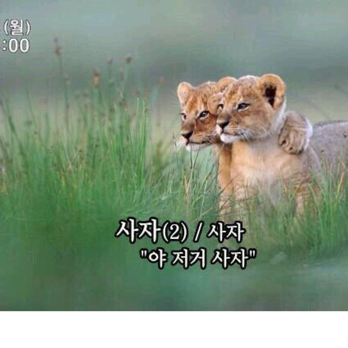 러블리진09 프로필