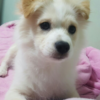 나는미림 프로필