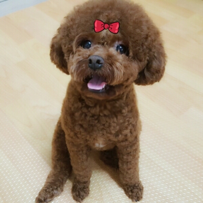 달콩이언니 프로필