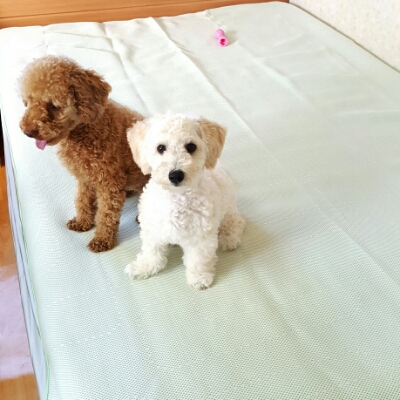용이용잇 프로필