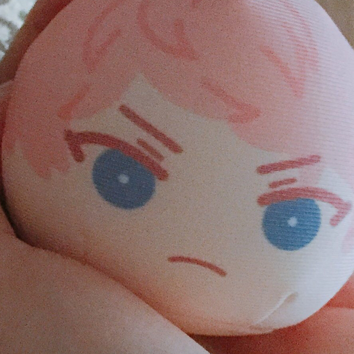 스볼 프로필