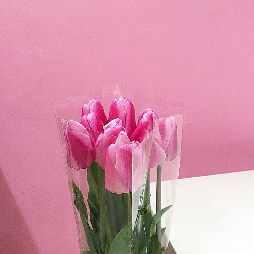 하쁘 프로필