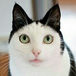 리뷰어 프로필