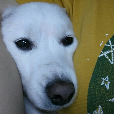 쮸오 프로필