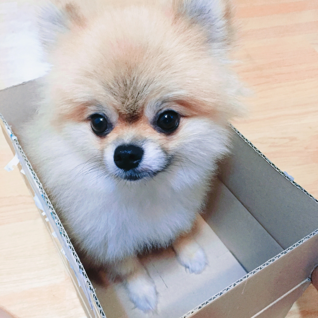 리뷰어 프로필