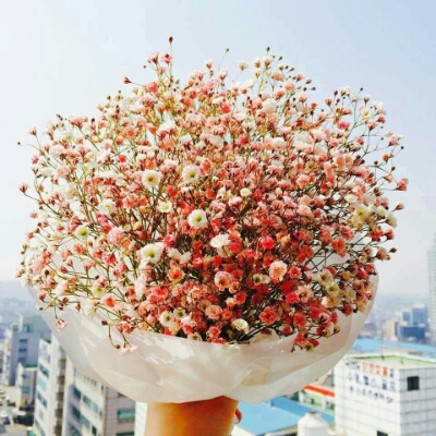 쥬륭륭 프로필
