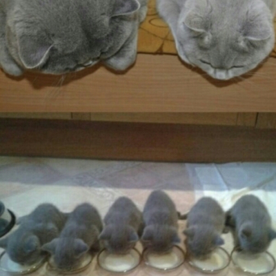 애뿡이 프로필