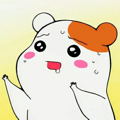 짱히 프로필