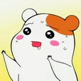 짱히