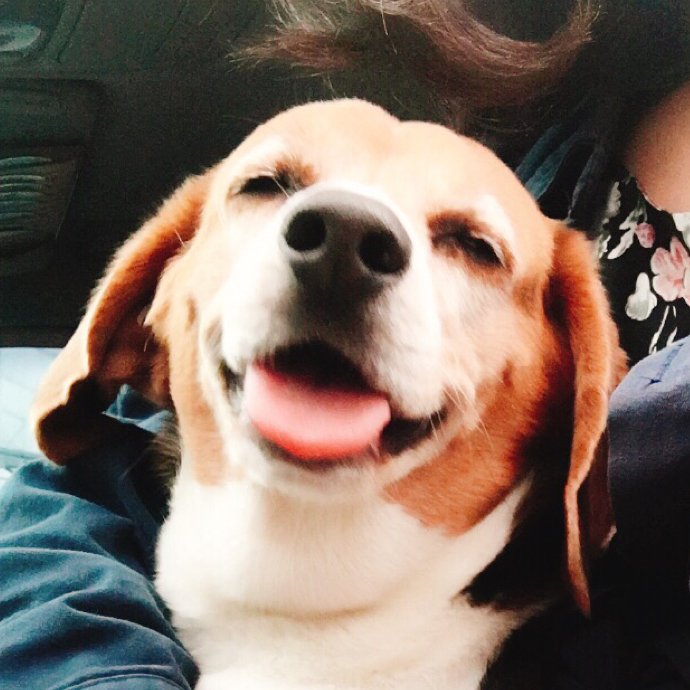 여름연 프로필