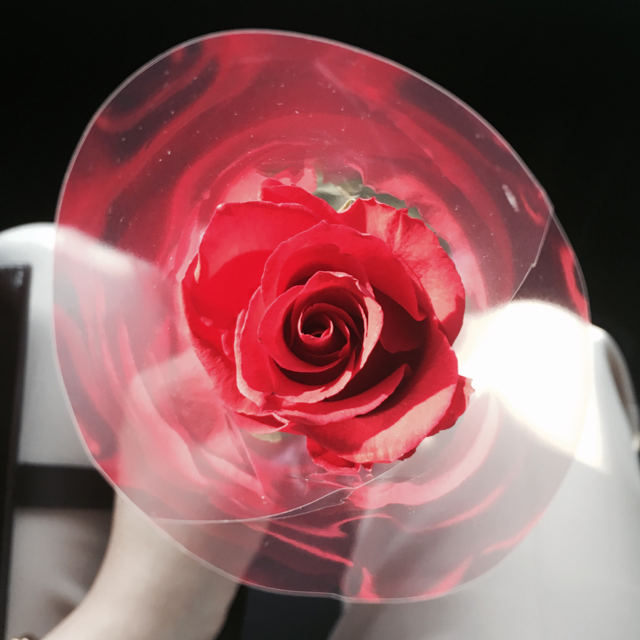 리뷰어 프로필
