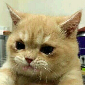 리뷰어 프로필