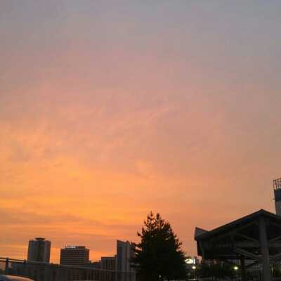 룰리룰랄 프로필